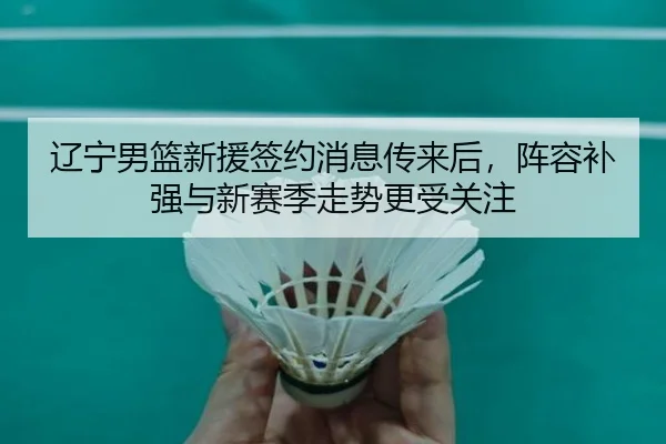 辽宁男篮新援签约消息传来后，阵容补强与新赛季走势更受关注